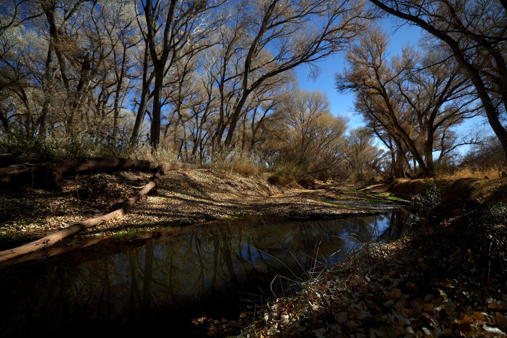 San Pedro River